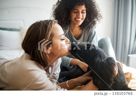 Dog, bed and gay couple kiss in home, morning and relax together in house. Pet, bedroom and happy lesbian women with animal, bonding and having fun in healthy relationship, love connection and care 138103768