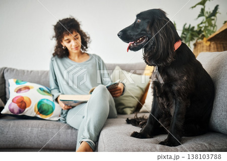 Woman, reading a book and a dog on home sofa to relax with animal in a living room. Pet owner, happiness and a young person on a couch with love, care and wellness or friendship in a cozy apartment Woman, reading a book and a dog on home sofa to relax with animal in a living room. Pet owner, happiness and a young person on a couch with love, care and wellness or friendship in a cozy apartment 138103788