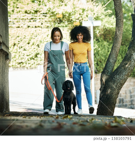 Love, holding hands and lesbian couple walking with dog in city street for exercise, bonding and fun. Lgbtq, animal and interracial young gay women in town road with pet puppy for fresh air together. Love, holding hands and lesbian couple walking with dog in city street for exercise, bonding and fun. Lgbtq, animal and interracial young gay women in town road with pet puppy for fresh air together. 138103791