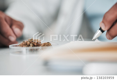 Petri dish, hand and scientist writing for plant and ecology research in a lab for analysis. Science work, notes and laboratory worker and person with paperwork, medical report and test for grass Petri dish, hand and scientist writing for plant and ecology research in a lab for analysis. Science work, notes and laboratory worker and person with paperwork, medical report and test for grass 138103959