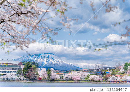 「岩手県」春の高松公園から望む岩手山　盛岡市 138104447