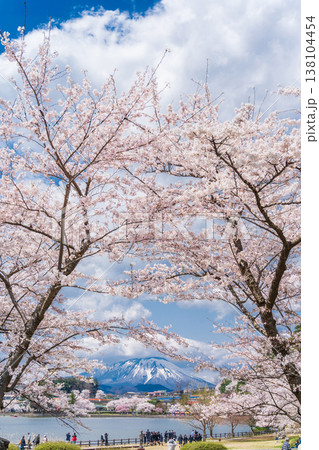 「岩手県」春の高松公園から望む岩手山 盛岡市 「岩手県」春の高松公園から望む岩手山 盛岡市 138104454