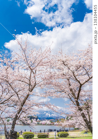 「岩手県」春の高松公園から望む岩手山 盛岡市 「岩手県」春の高松公園から望む岩手山 盛岡市 138104455