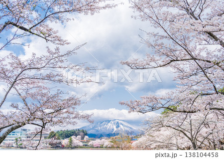 「岩手県」春の高松公園から望む岩手山 盛岡市 「岩手県」春の高松公園から望む岩手山 盛岡市 138104458
