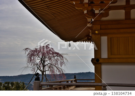 高麗山聖天院勝楽寺 多宝塔 埼玉県日高市 高麗山聖天院勝楽寺 多宝塔 埼玉県日高市 138104734