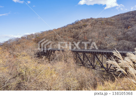 福島　秋の剣桂橋（西郷村） 138105368