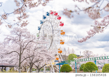「青森県」八戸公園・子供の国 春の風景　八戸市 138105416