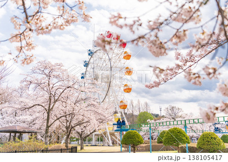 「青森県」八戸公園・子供の国 春の風景 八戸市 「青森県」八戸公園・子供の国 春の風景 八戸市 138105417