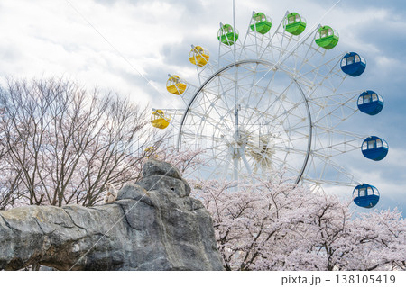 「青森県」八戸公園・子供の国 春の風景 八戸市 「青森県」八戸公園・子供の国 春の風景 八戸市 138105419