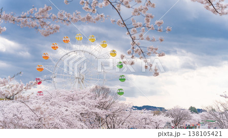 「青森県」八戸公園・子供の国 春の風景 八戸市 「青森県」八戸公園・子供の国 春の風景 八戸市 138105421