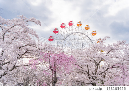 「青森県」八戸公園・子供の国 春の風景 八戸市 「青森県」八戸公園・子供の国 春の風景 八戸市 138105426