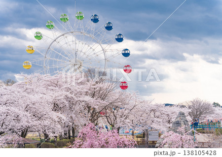 「青森県」八戸公園・子供の国 春の風景 八戸市 「青森県」八戸公園・子供の国 春の風景 八戸市 138105428