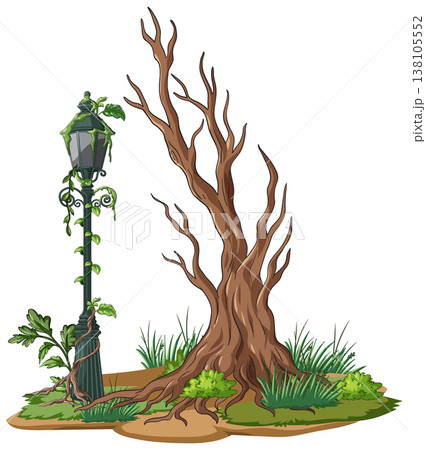 Overgrown Street Lamp Beside Leafless Tree in Abandoned Setting 138105552