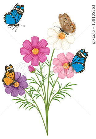 Butterflies Resting on Colorful Cosmos Flowers Illustration Butterflies Resting on Colorful Cosmos Flowers Illustration 138105563