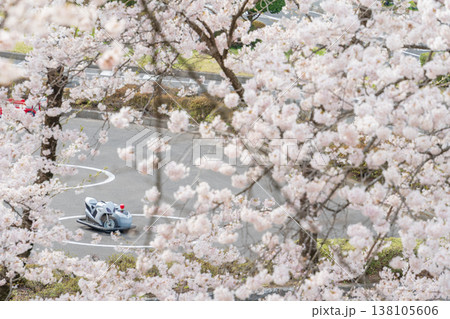 「青森県」満開の桜咲く八戸公園・子供の国 八戸市 「青森県」満開の桜咲く八戸公園・子供の国 八戸市 138105606