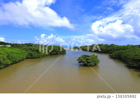 沖縄県　石垣島　宮良川のマングローブ林 138105692