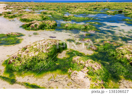 View of the Indian ocean at low tide, Zanzibar, Tanzania View of the Indian ocean at low tide, Zanzibar, Tanzania 138106027