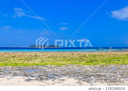 View of the Indian ocean at low tide, Zanzibar, Tanzania View of the Indian ocean at low tide, Zanzibar, Tanzania 138106028