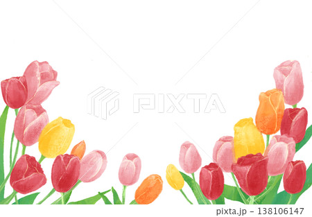 チューリップの水彩イラスト背景素材 138106147