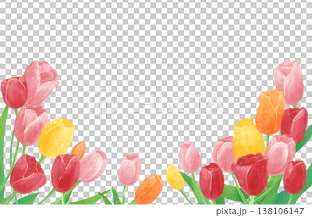 チューリップの水彩イラスト背景素材 138106147