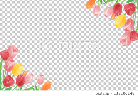 一幅水彩鬱金香插圖的畫框。 138106149