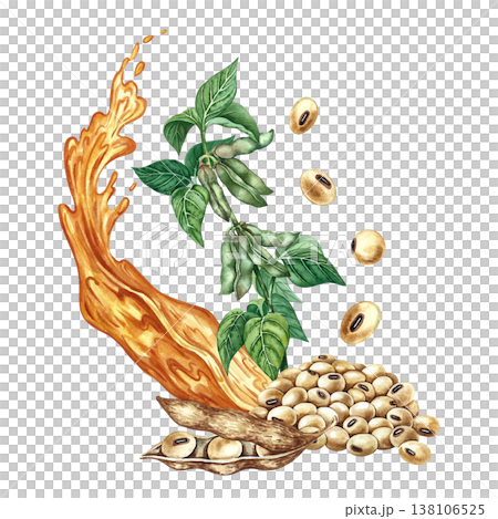 Soybean oil. Hand-drawn watercolor illustration. Splash of oil, soy stalk, and soybeans. Element of menu design, recipes, and cookbooks. For banners, flyers, packaging, labels, and more. Soybean oil. Hand-drawn watercolor illustration. Splash of oil, soy stalk, and soybeans. Element of menu design, recipes, and cookbooks. For banners, flyers, packaging, labels, and more. 138106525