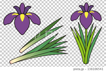 端午の節句 子どもの日の花菖蒲と葉菖蒲イラスト 138106541