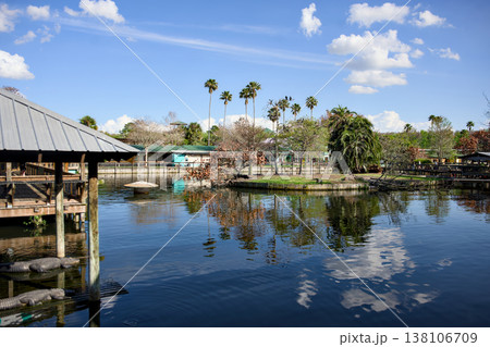 Tropical lake with wooden pier and palm trees Orlando Florida Tropical lake with wooden pier and palm trees Orlando Florida 138106709
