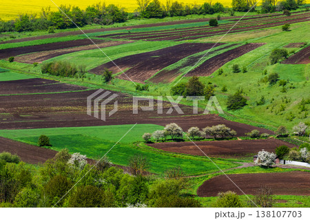 Rolling hills showcase vibrant farmland with contrasting green and brown patches during springtime in a rural landscape Rolling hills showcase vibrant farmland with contrasting green and brown patches during springtime in a rural landscape 138107703