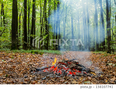 Campfire sparks glow amid lush green forest with fallen leaves and a wooded path on a foggy day 138107741
