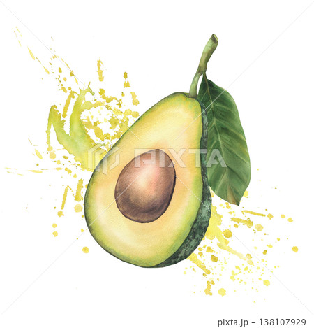 Halves of avocado fruit with seed and leaf on splash spot juicy watercolor yellow green background. Hand drawn illustration isolated for healthy food, cosmetic, product design label, packaging, menu 138107929