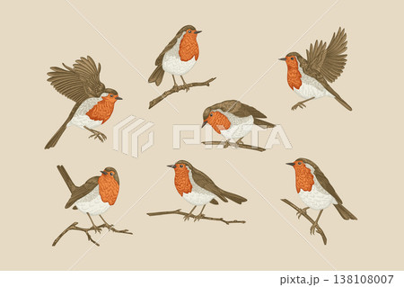 Set of  hand-drawn robins. Colorful 138108007