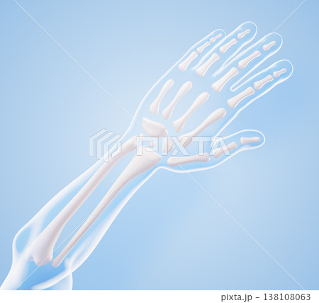 Hand anatomy 3D model - bones structure of radius, ulna, wrist, metacarpals, finger phalanges on blue background. Human skeleton arm for medical education, orthopedic and traumatology. 3D illustration 138108063