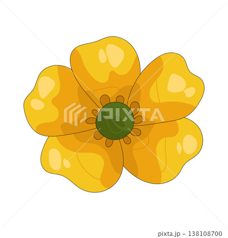 Illustration of yellow buttercup flower 138108700