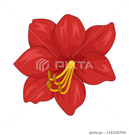 Illustration of red hibiscus  138108704