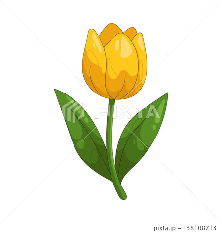 Illustration of yellow tulip  138108713