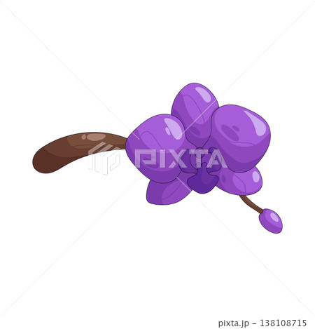 Illustration of Purple Orchid Flower Illustration of Purple Orchid Flower 138108715