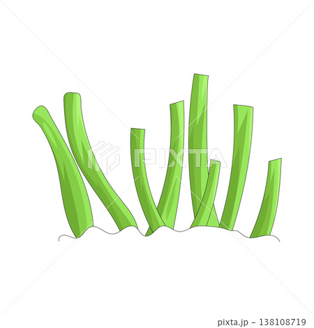 Illustration of grass Illustration of grass 138108719