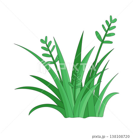 Illustration of grass 138108720