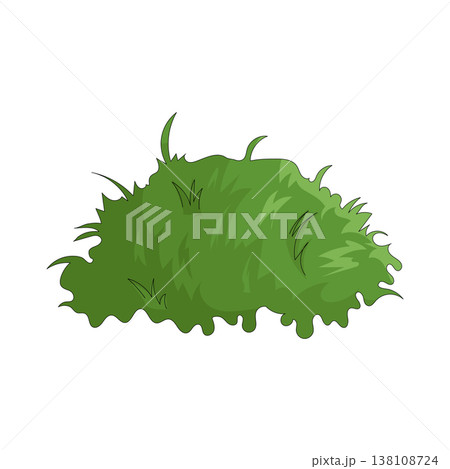 Illustration of grass Illustration of grass 138108724