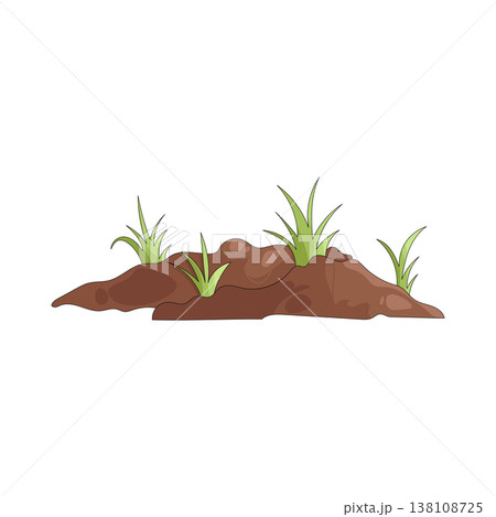 Illustration of grass Illustration of grass 138108725