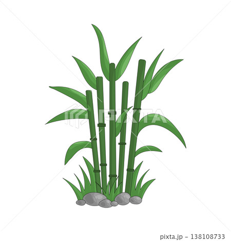 Illustration of bamboo with grass Illustration of bamboo with grass 138108733