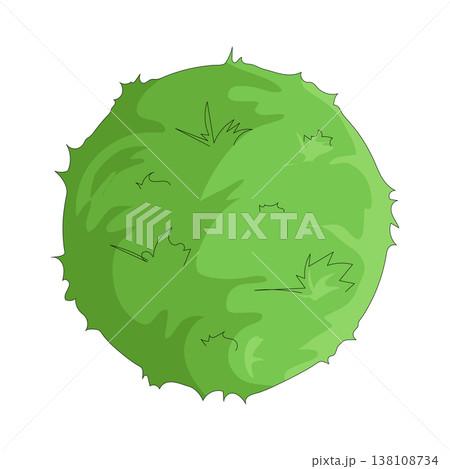 Illustration of bush Illustration of bush 138108734