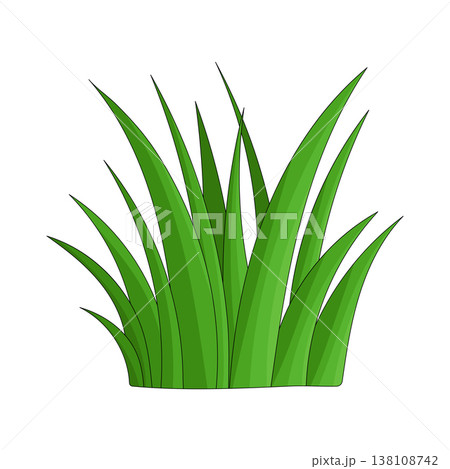 Illustration of grass Illustration of grass 138108742