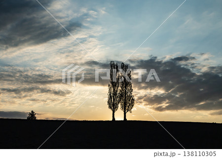 赤羽の丘 138110305