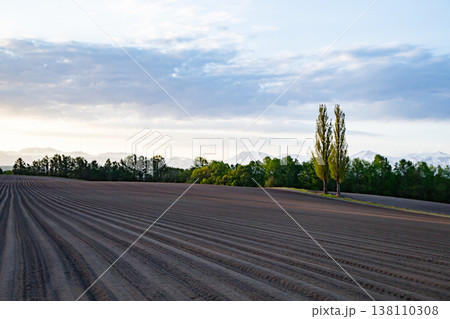 赤羽の丘 138110308