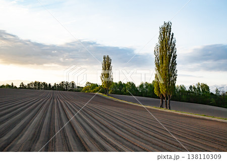 赤羽の丘 138110309