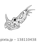 スティラコサウルスの頭蓋骨の化石 モノクロ 138110438