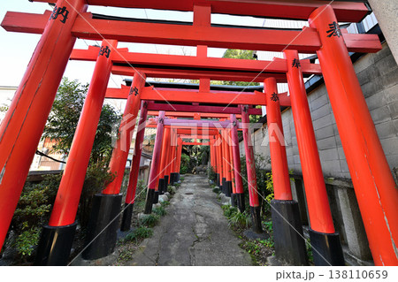 京都　御土居　各所に残る秀吉が築いた土塁 138110659