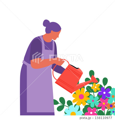 vector illustration of an elderly woman or gardener in a purple apron watering colorful blooming flowers with a red watering can, home gardening and nature care concept isolated on white background 138110977
